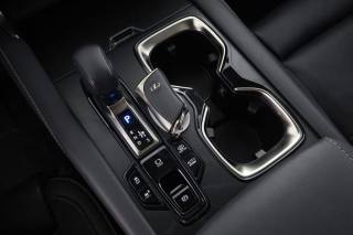 LEXUS RX 450h usata 13