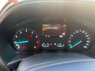 FORD Puma usata, con Fendinebbia