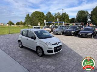 FIAT Panda usata, con Alzacristalli elettrici