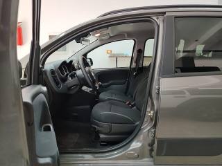 FIAT Panda Cross usata, con Fendinebbia
