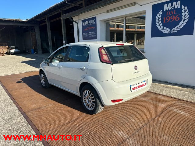FIAT Punto usata, con Controllo trazione