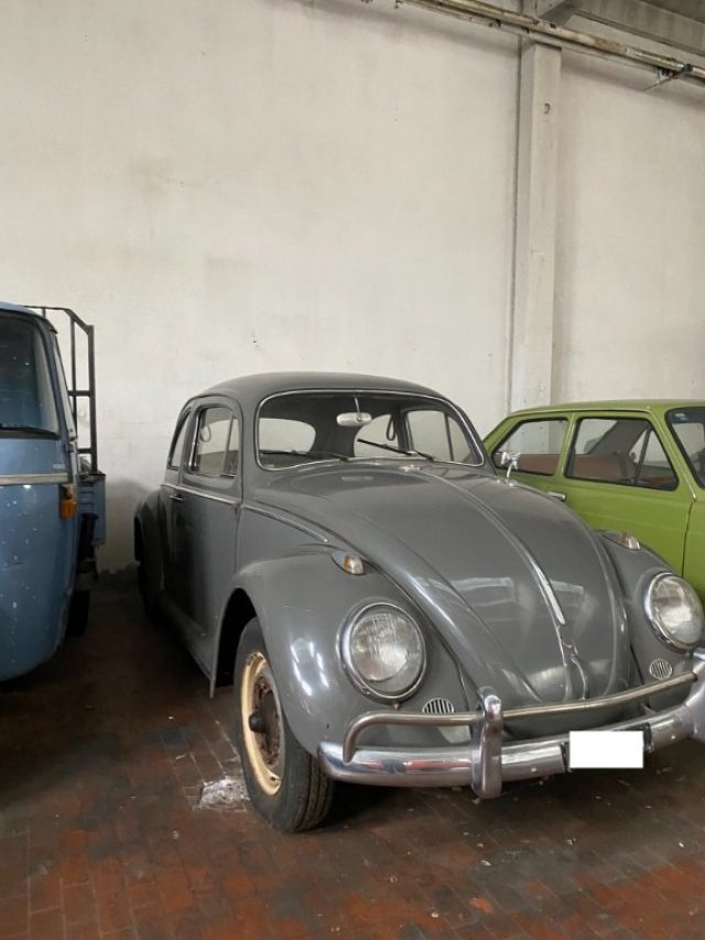 VOLKSWAGEN Maggiolone usata 1
