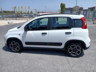 FIAT Panda 1.0 FireFly S&S Hybrid City Life Euro 6D 5p