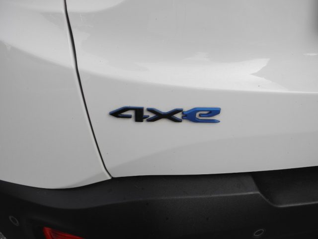 JEEP Renegade usata 79