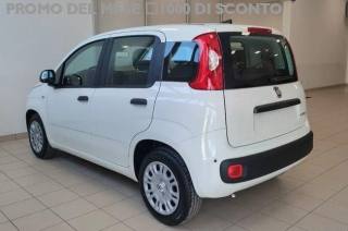 FIAT Panda usata, con Chiusura centralizzata