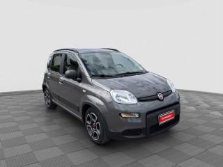 FIAT Panda usata 6