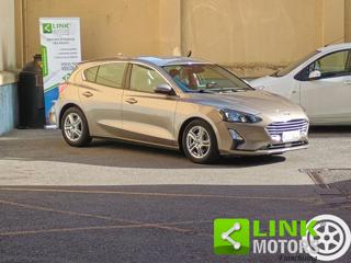 FORD Focus 1.5 EcoBlue 120 CV automatico 5p. Business Co-Pilo