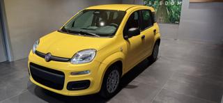 FIAT Panda usata, con Airbag