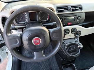 FIAT Panda usata, con Fendinebbia