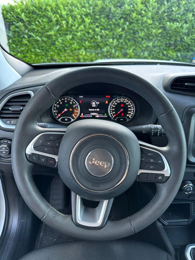 JEEP Renegade usata, con Volante in pelle