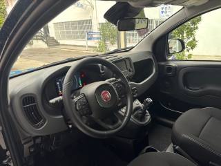 FIAT Panda usata, con Start/Stop Automatico