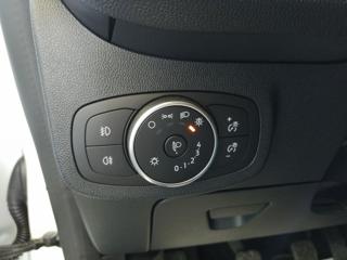 FORD Fiesta usata, con Vetri oscurati