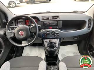 FIAT Panda usata, con Immobilizzatore elettronico