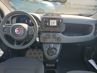 FIAT Panda usata, con Servosterzo
