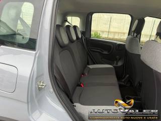 FIAT Panda usata, con Immobilizzatore elettronico