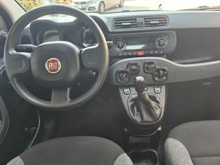 FIAT Panda usata, con Controllo trazione