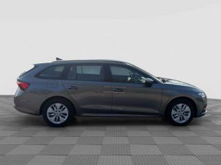 SKODA Octavia usata 5