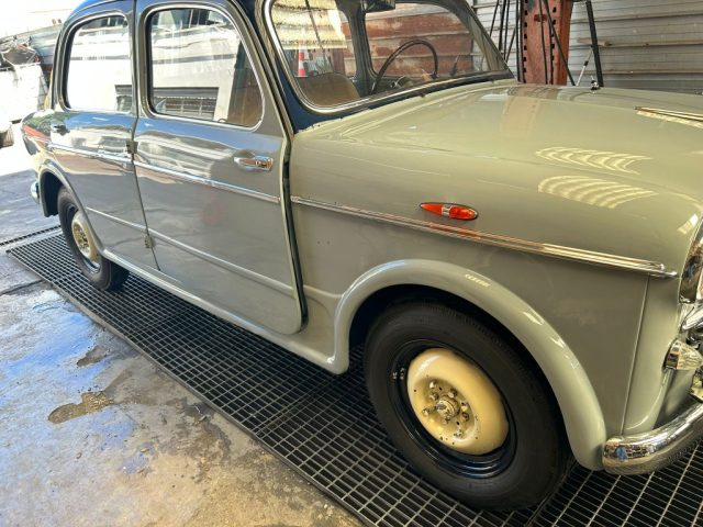 FIAT 1100 usata 1