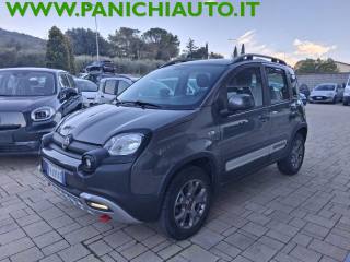 FIAT Panda Cross usata, con Alzacristalli elettrici