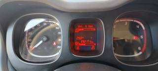 FIAT Panda usata 11