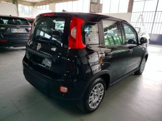 FIAT Panda usata, con Immobilizzatore elettronico