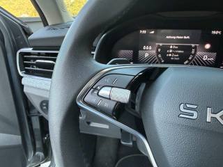 SKODA Kamiq usata, con Controllo trazione