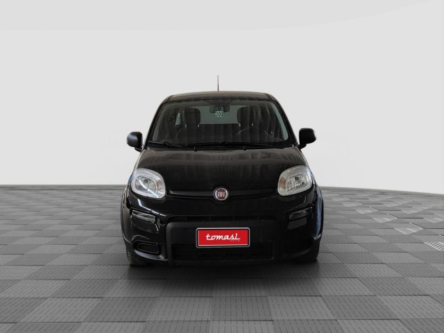 FIAT Panda usata 7