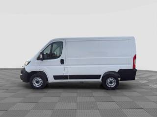 FIAT Ducato usata 2