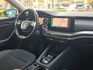 SKODA Octavia usata 125