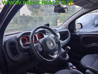 FIAT Panda Cross usata, con Controllo trazione