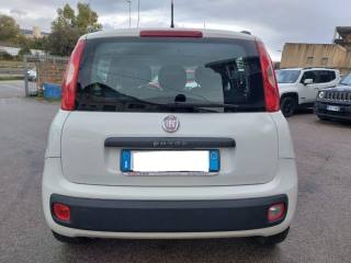 FIAT Panda usata, con Airbag testa
