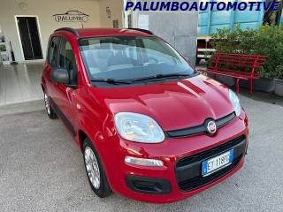 FIAT Panda usata, con Airbag
