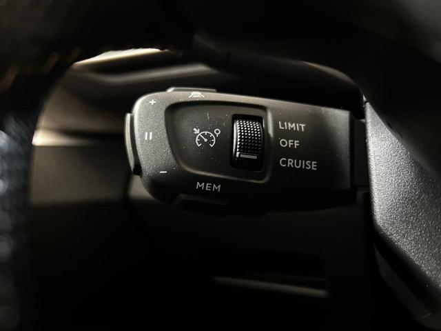 PEUGEOT 3008 usata, con Servosterzo