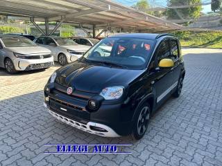 FIAT Pandina usata, con Airbag