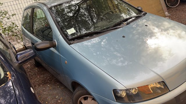 FIAT Punto usata, con Chiusura centralizzata