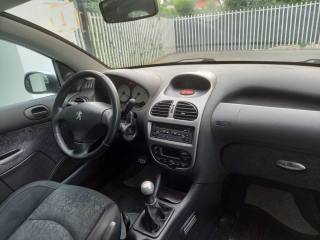 PEUGEOT 206 usata 22