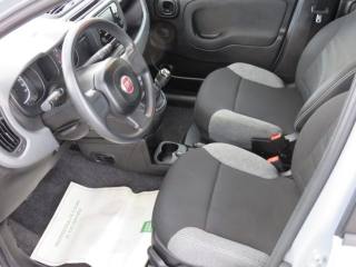 FIAT Panda usata, con Antifurto