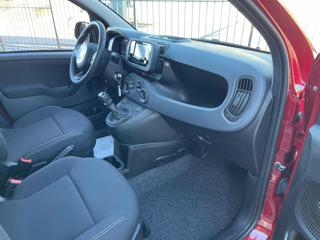 FIAT Panda usata, con Cruise Control