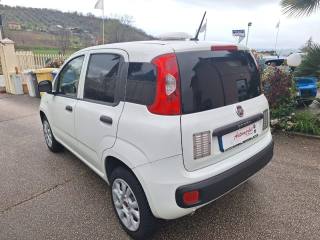 FIAT Panda usata, con Fendinebbia