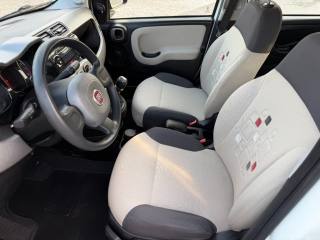 FIAT Panda usata 12