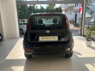FIAT Panda Cross usata, con Controllo trazione