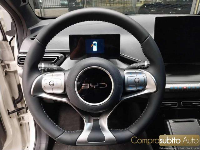 BYD Dolphin usata 22