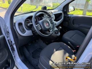 FIAT Panda usata, con Cruise Control
