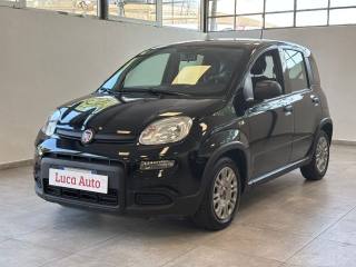 FIAT Panda 1.0 FireFly S&S Hybrid *UNICO PROPRIETARIO*