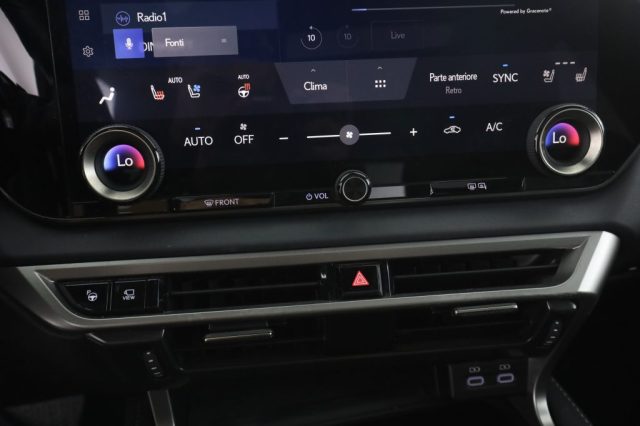LEXUS RX 450h usata 12
