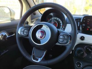 FIAT 500 usata 10