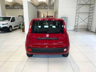 FIAT Panda usata, con Antifurto