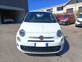 FIAT 500 usata 2