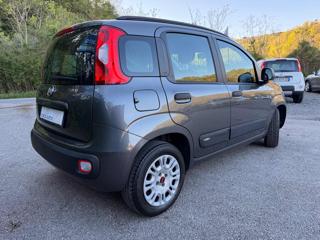 FIAT Panda usata, con Servosterzo