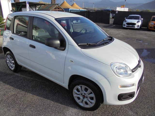 FIAT Panda usata 12